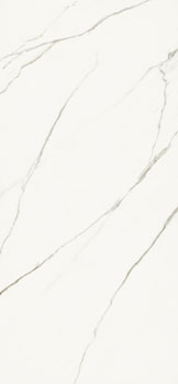 AE EXT6 260 LP.jpg